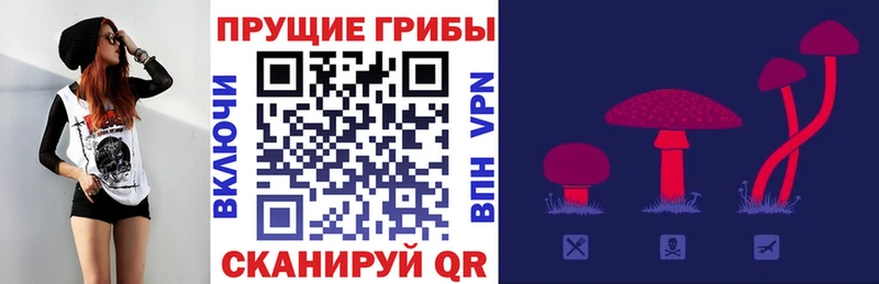 Галлюциногенные грибы MAGIC MUSHROOMS  Корсаков 