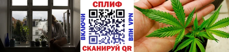 Бошки Шишки гибрид  где можно купить наркотик  Корсаков 